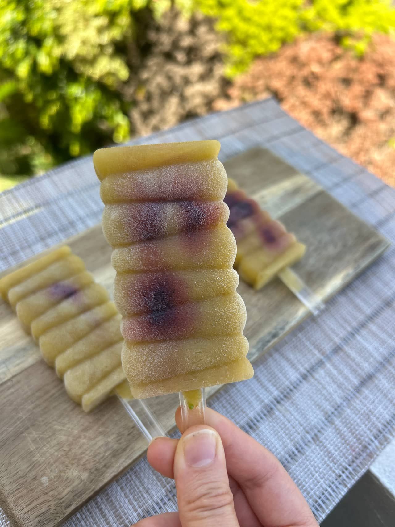 ארטיק ענבים ופירות יער